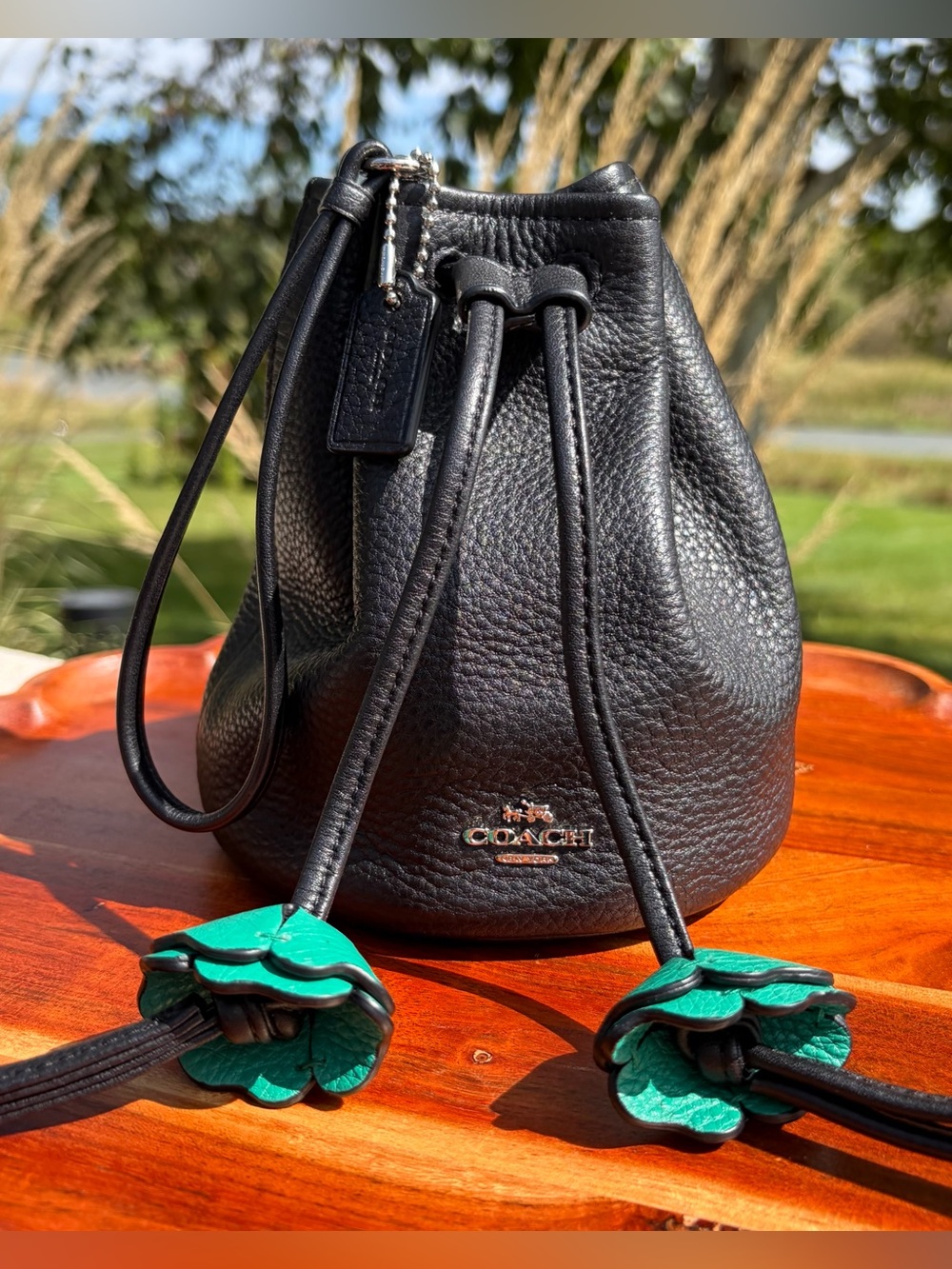 Coach Petal Bucket Bag Drawstring Wristlet F56581